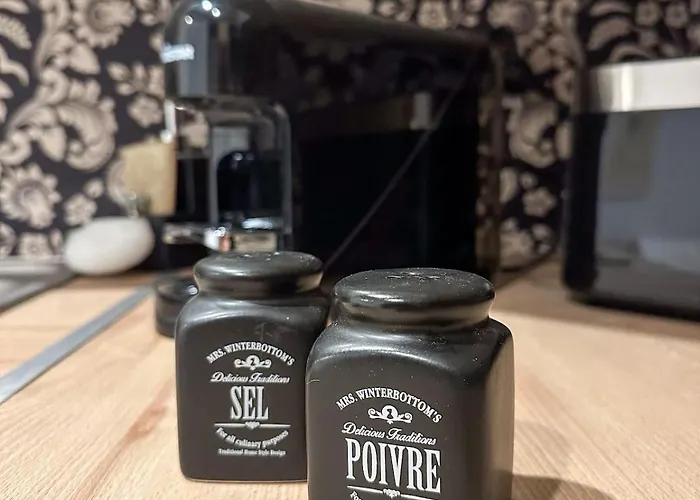 Le Calme - Centre - Proche Parking Gratuit - Commerces A Proximite - Marche De Noel Sélestat